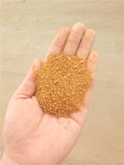 С���������˽�ľۺ��Ȼ��X����֪������